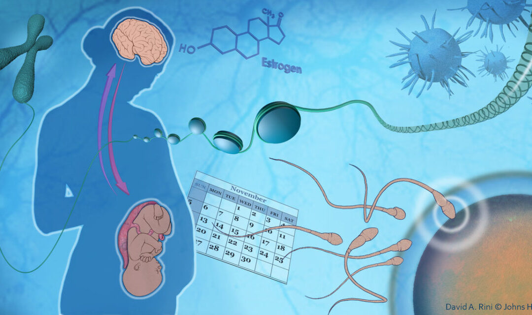 NCRP Responds to FDA Panel on SSRI Use in Pregnancy