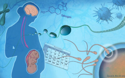 NCRP Responds to FDA Panel on SSRI Use in Pregnancy