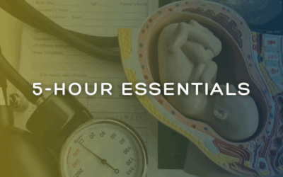 Learner – 5-Hour Essentials