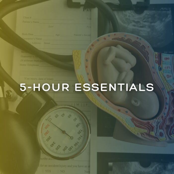 Facilitator – 5-Hour Essentials